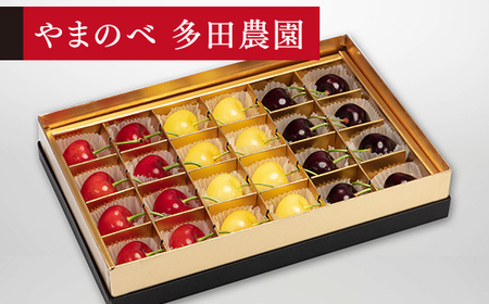 [先行予約]2027年産 山形県産 月山錦・紅秀峰・サミット 特選みやび箱詰24粒 やまのべ多田耕太郎のさくらんぼ サクランボ F20A-787