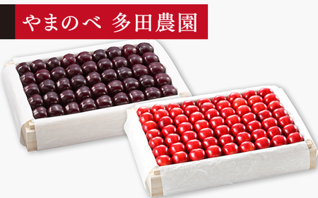 [先行予約]2027年産 山形県産 「真夏のルビー紅姫」・サミット 桐箱詰め約1100gx2 やまのべ多田耕太郎のさくらんぼ サクランボ F20A-794
