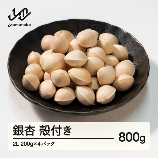 ≪先行予約≫2026年 山形県産 銀杏 殻付き 2L 約800g（200g×4パック） 2026年10月上旬から順次発送 ぎんなん おつまみ 真空パック 個包装 小分け 秋 野菜 F20A-731