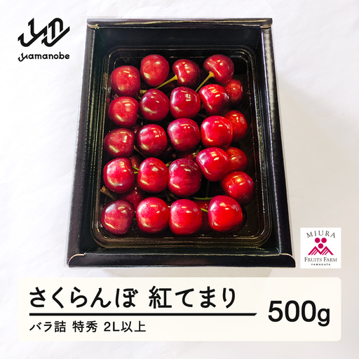 [先行予約]2027年 山形県産 さくらんぼ 紅てまり バラ詰500g 特秀 2L以上 F20A-900
