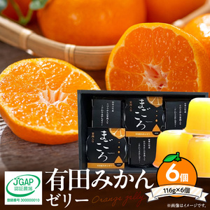 有田みかんゼリー「まごころ」116g×6個入り（化粧箱入り）_ZE6197n