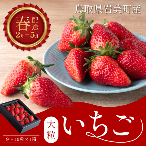 【42002】【先行予約】米村農園「大粒いちごB」 9～15粒程度×1セット 発送は2027年2月以降