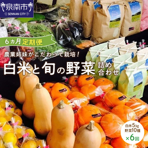 農業姉妹がこだわって栽培!白米5kgと旬の野菜10種 半年定期便[024A-030]