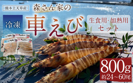 ＜ R8年熊本地震復興支援 ＞【加熱用・生食用セット】森さん家の冷凍 車えび 800g えび 車海老 刺身