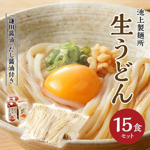 本家　池上製麺所　生うどん15食（鎌田醤油　だし醤油）