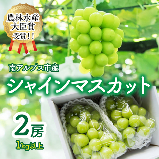 [2026年先行受付] [農林水産大臣賞受賞!!] シャインマスカット 2房 1kg以上 ALPAS004 | シャインマスカット