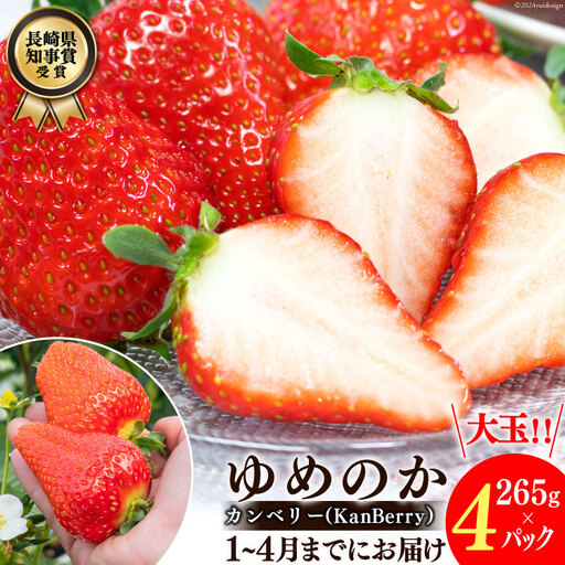 EA050【令和9年1?4月発送】長崎県知事賞受賞 大玉いちご ゆめのか 3L～5L 265g×4パック