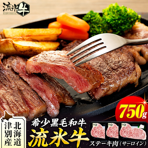 流氷牛ステーキ肉 750g (250g×3 サーロイン)| 北海道 津別町 肉 和牛 牛肉 黒毛和牛 希少 サーロイン ステーキ 老舗 今半 霜降り 詰合せ 詰め合わせ 送料無料