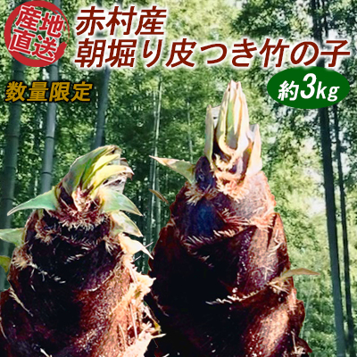 [数量限定]赤村産 朝掘り皮つき竹の子 約3kg S1
