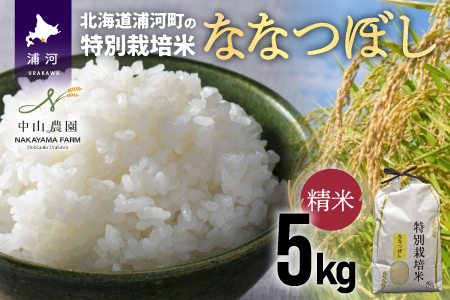 浦河の特別栽培米「ななつぼし」精米(5kg×1袋)[37-1065]