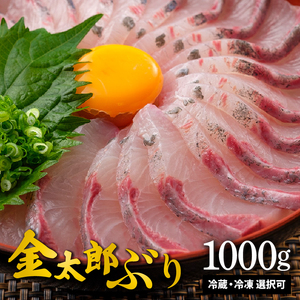 鰤屋金太郎【冷凍】ぶりスキンレスロイン1000g N018-YA974-2