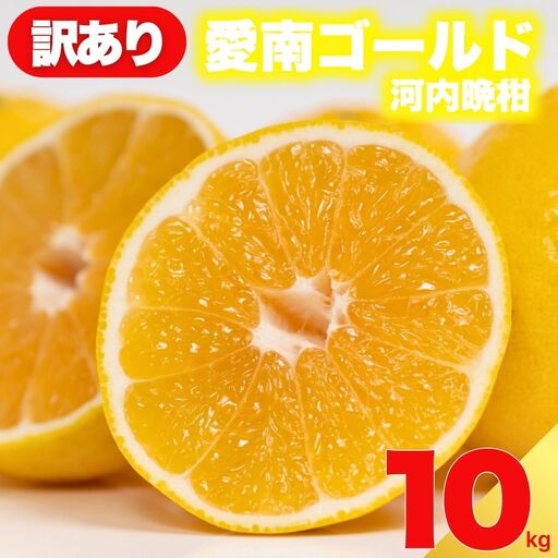 【先行予約:2027年4月下旬～順次発送】訳あり 愛南ゴールド 10kg  河内晩柑 愛南ゴールド愛南フルーツ 愛媛県 愛南町