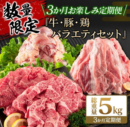 数量限定 3か月 お楽しみ 定期便 牛肉 豚肉 鶏肉 バラエティ セット 総重量5kg_FG13-26