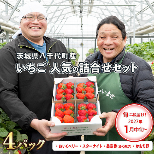 いちご 食べ比べ 4パック 【1月中旬から発送】いちご AJ002ya
