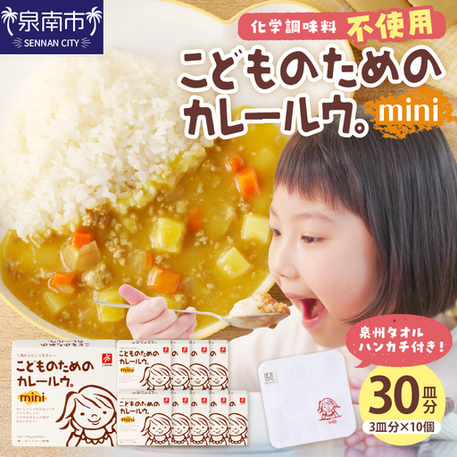こどものためのカレールウminiセット カレー カレールウ カレールウセット カレールー カレールーセット 人気カレー 大人気カレー[002E-017]