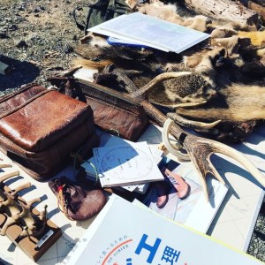 富士山の麓で`鹿の解体'体験(2〜15名)◇[体験 自然]