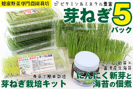 【農薬未使用・無添加】芽ねぎセット（5パック＆栽培キット＆にんにく新芽と海苔の佃煮）