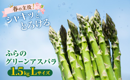 アスパラガス 富良野産 グリーン Lサイズ アスパラガス【約1.5kg】【先行予約】