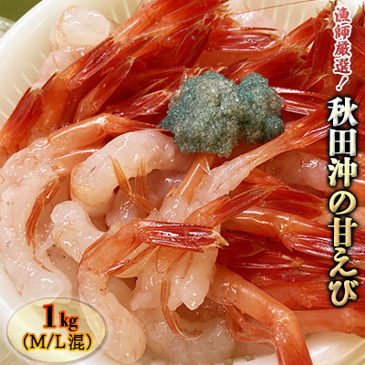 甘えび 魚貝類 ほっこく赤エビ 秋田沖 海老 甘えび【1kg】