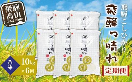 【定期便】こしひかり飛騨っ晴れ 白米 10kg 6回 お届け 生産者直送 お米 コシヒカリ 飛騨産 飛騨高山 アグリランド  JF102