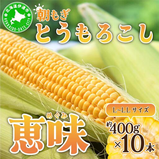 ＜2026年先行予約＞北海道産 朝もぎ とうもろこし 恵味 L-LLサイズ 約400g×10本 スイートコーン ゴールドコーン トウモロコシ とうきび コーン 旬 完熟 野菜 甘い おやつ 産地直送 お取り寄せ 北海道 藤川農園 送料無料 伊達 55250480
