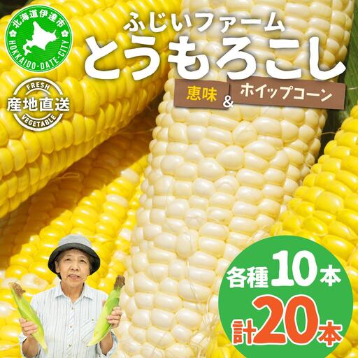 ＜先行予約＞北海道産 とうもろこし(恵味/ホイップコーン) 計20本【55250487】