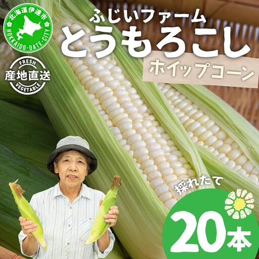 ＜先行予約＞北海道産 とうもろこし(ホイップコーン) Lサイズ 20本【55250485】