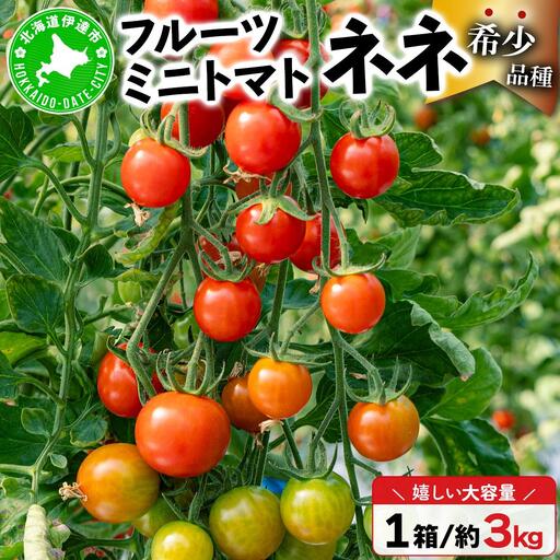 【2027年先行予約】北海道産 ミニトマト ネネ 約3kg【55250524】