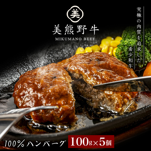 ハンバーグ 美熊野牛 100% 100g×5個 ハンバーグ[okad0007]