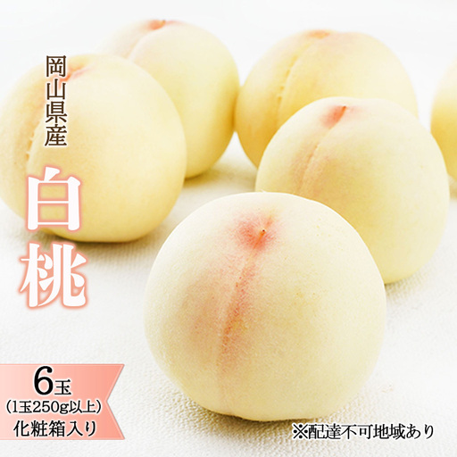桃 2026年 先行予約 白桃 6玉（1玉250g以上）化粧箱入り  岡山県産 桃
