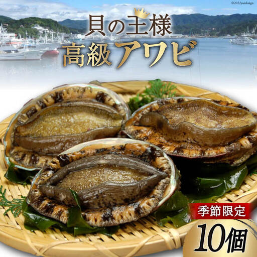 【期間限定発送】 三陸産 アワビ 10個 