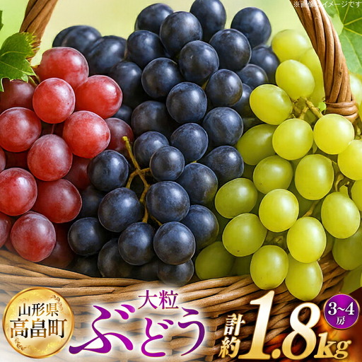 [期間限定発送] ぶどう 2〜3色 約 1.8kg 詰め合わせ セット