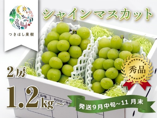 【産地直送】上山産・絶品シャインマスカット　１.２ｋｇ以上♪　0140-2608