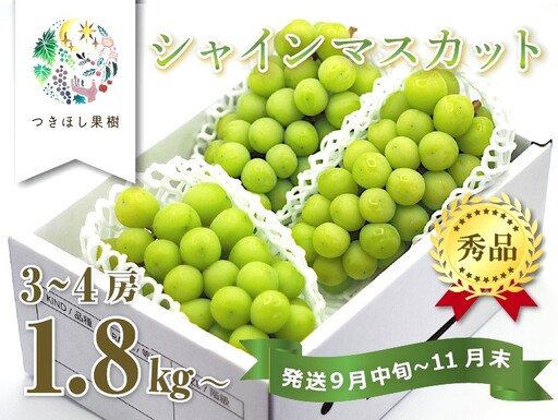 上山産・絶品シャインマスカット　１.８ｋｇ以上♪　0140-2609