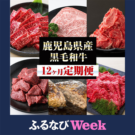 【ふるなびWEEK対象】【12か月定期便】鹿児島県産 黒毛和牛 セット 定期便 12回 黒毛和牛【00-030-13-TKFN】