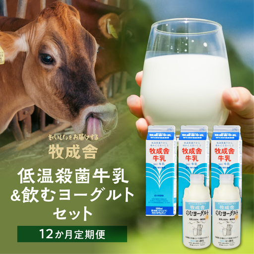 定期便 12回 飛騨産生乳100%無添加(牛乳3本&飲むヨーグルト2本セット)×12回 低温殺菌牛乳