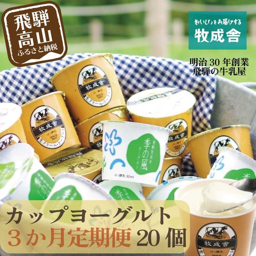 [定期便3か月]飛騨のカップヨーグルト20個セット 毎月1回お届け ヨーグルト2種類