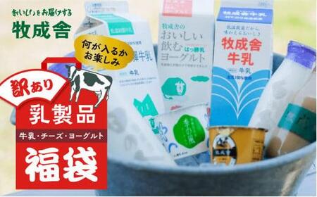 牧成舎 "何が届くかお楽しみ!" 福袋 | 訳あり 乳製品 ギフト 詰め合わせ 乳製品 DF005 FN-Limited-PR