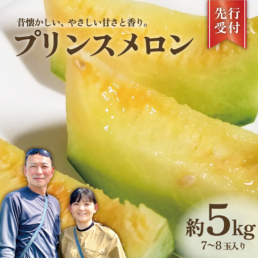 【先行予約】 メロン プリンスメロン 茨城県産 5kg 7~8玉 農家直送 果物 初夏