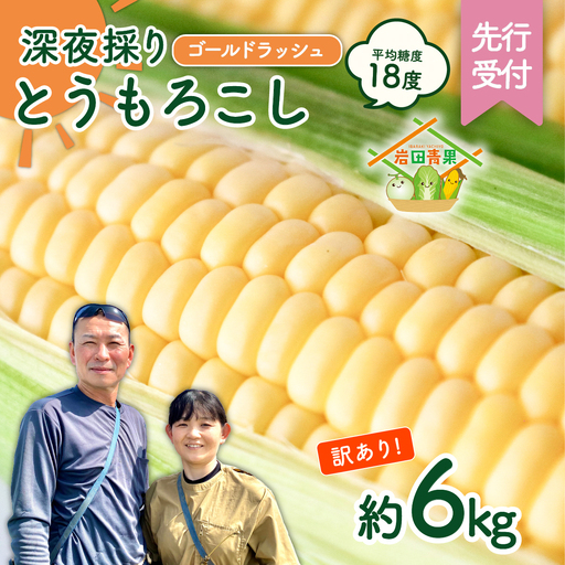 とうもろこし 訳あり ゴールドラッシュ 6kg 茨城県産 トウモロコシ 深夜採り 朝出荷