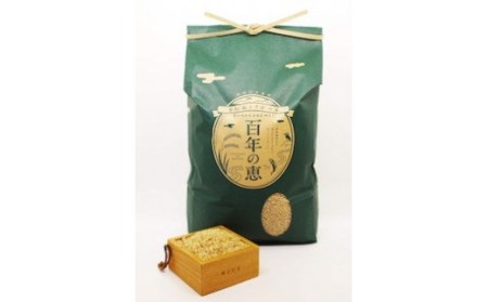 奥阿蘇くさかべ米「百年の恵」（玄米5kg）