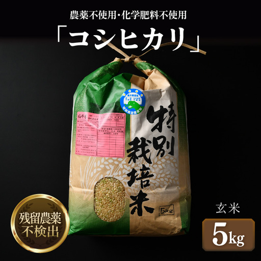 [先行予約][令和8年産 新米]コシヒカリ 玄米 5kg 特別栽培米 農薬不使用 化学肥料不使用 / 残留農薬ゼロ 高品質 鮮度抜群 福井県産 ブランド米 ※2026年9月下旬より順次発送予定 [aw063-a011]