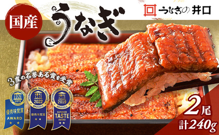 国産うなぎ うなぎ 蒲焼き 2尾 120g×2 たれ付 ギフト 冷蔵 うなぎ