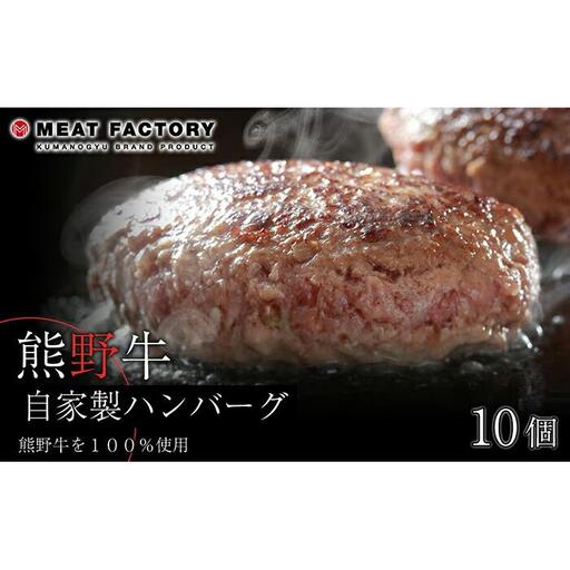 熊野牛 自家製ハンバーグ 10個入り【MT11】