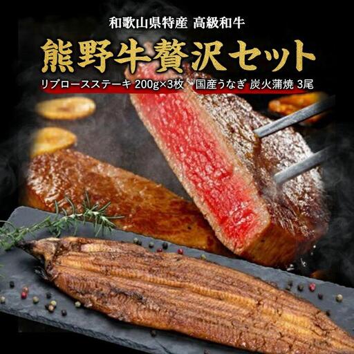 豪華限定企画！熊野牛ステーキと国産炭火焼鰻の贅沢うな牛セットＢ【MT28】