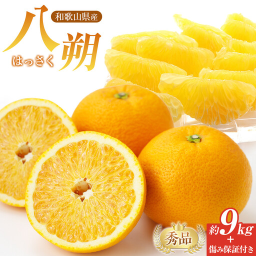 和歌山県産 八朔 秀品 箱込約10kg（約9kg＋保証分500g）
