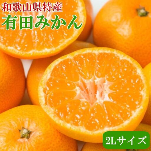 [秀品]和歌山有田みかん約6kg(2Lサイズ)★2026年11月中旬頃より順次発送［TM84］
