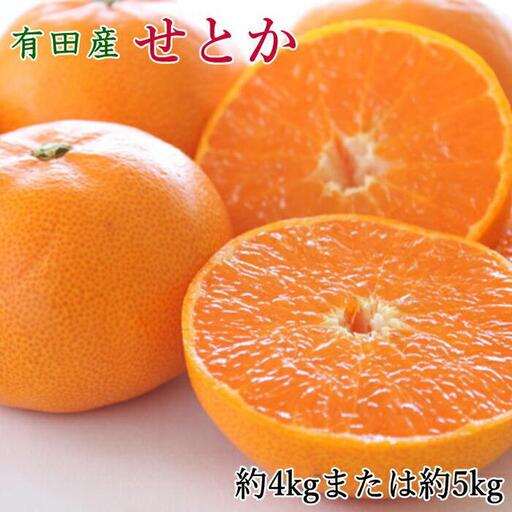 一度は食べていただきたい「有田産のせとか」約4〜5kg(サイズおまかせ)★2027年2月中旬頃より順次発送[TM138]