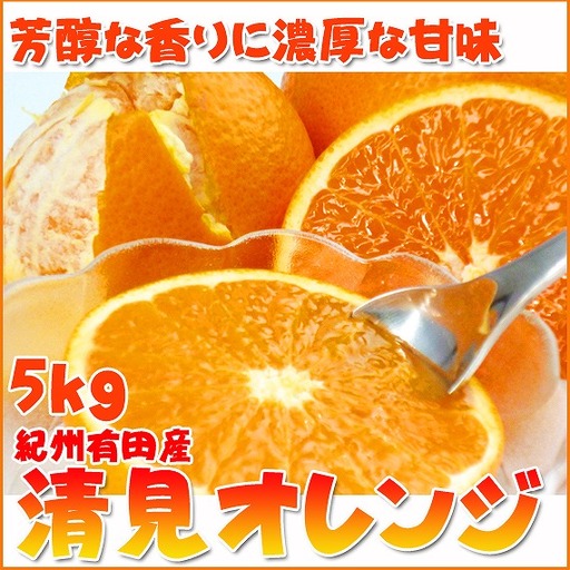 とにかくジューシー清見オレンジ　5kg［2027年3月下旬以降発送］［先行予約］［UT53］