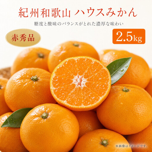 赤秀品 紀州和歌山ハウスみかん 2.5kg[2027年6月末頃〜2027年7月中旬頃に順次発送][UT87]